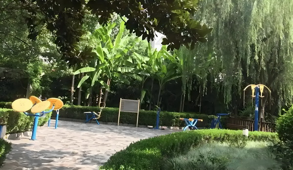 金银祸害三千：财迷牡丹